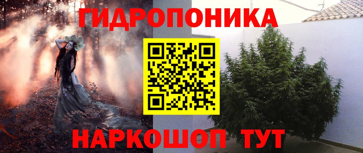 Марихуана план  Вход с VPN  Каннабис конопля  Бошки Шишки конопля  Курчалой 